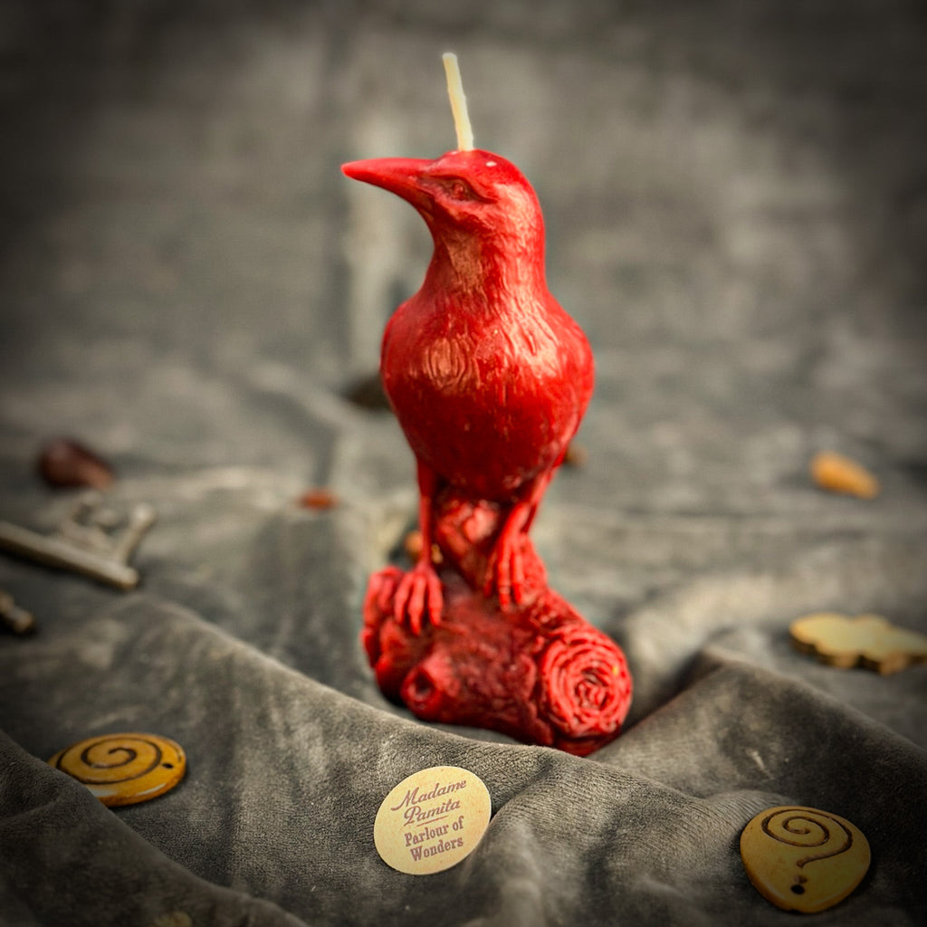 Raven Magic Candle Spell Kit - Intelligence & Spirit World Connection
