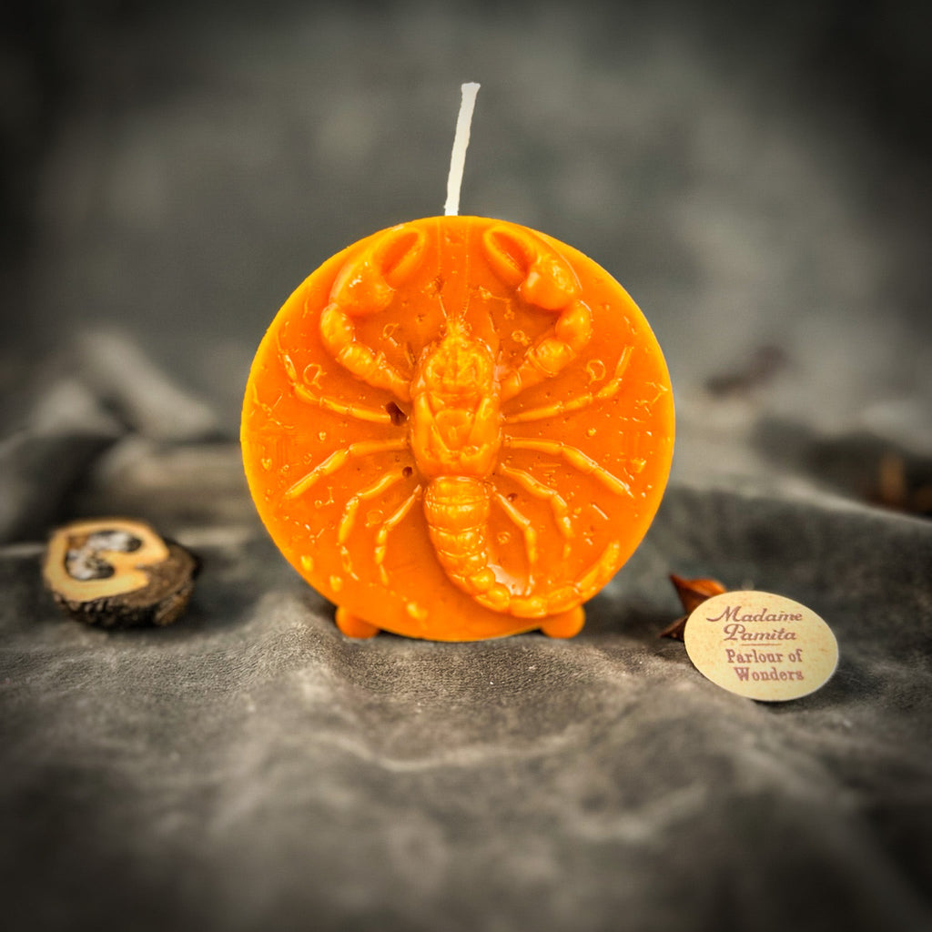 Beeswax Scorpio Scorpion Zodiac Spell Candle - Transformation, Power & Intuition