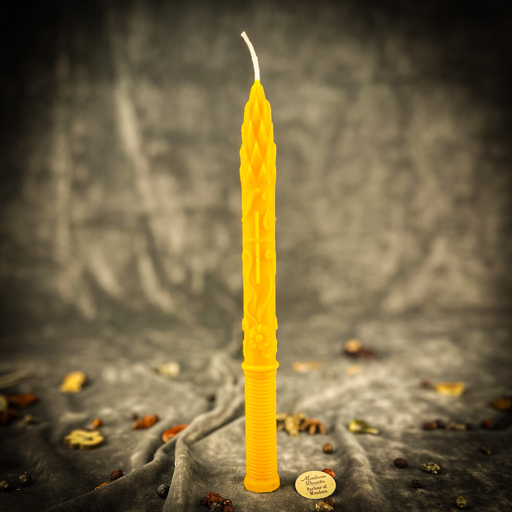 Stritennya Asparagus Candlemas Taper Candle Spell Kit - Renewal & Protection