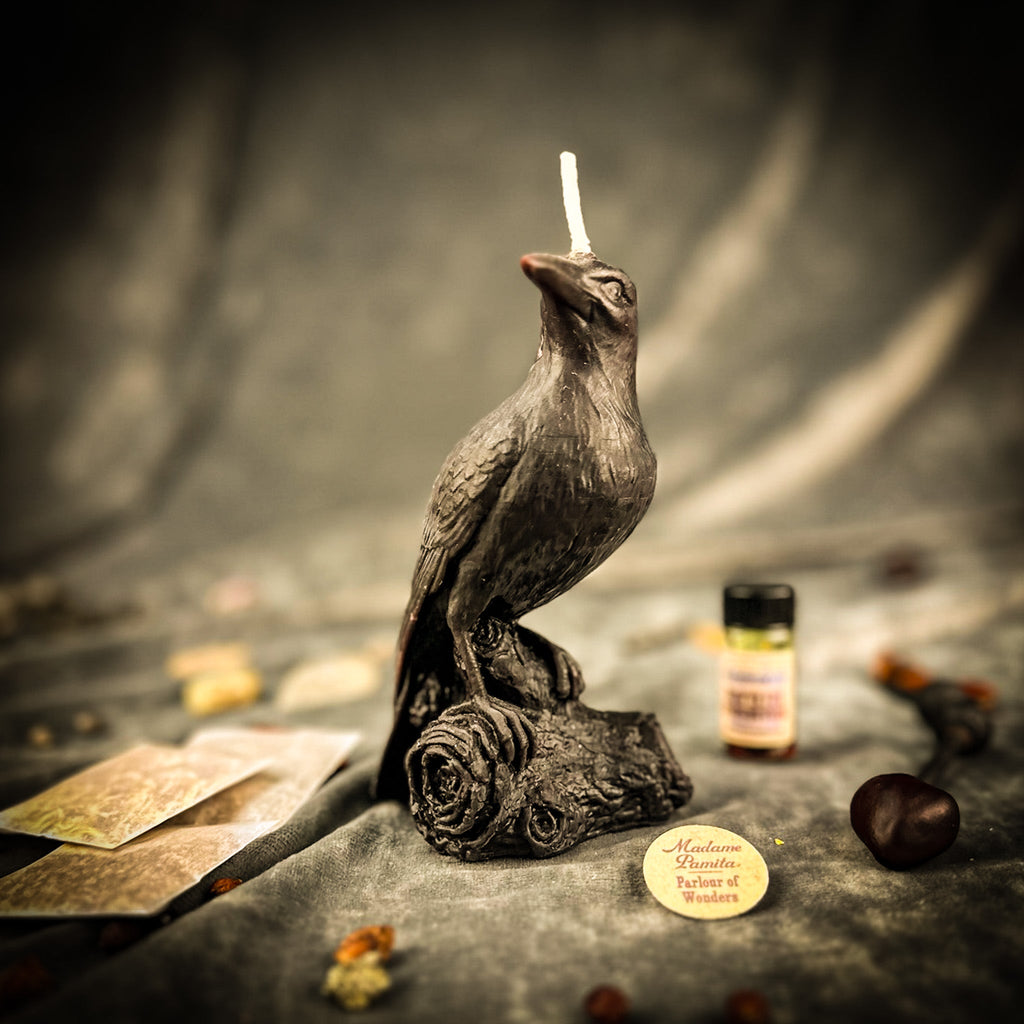 Raven Magic Candle Spell Kit - Intelligence & Spirit World Connection